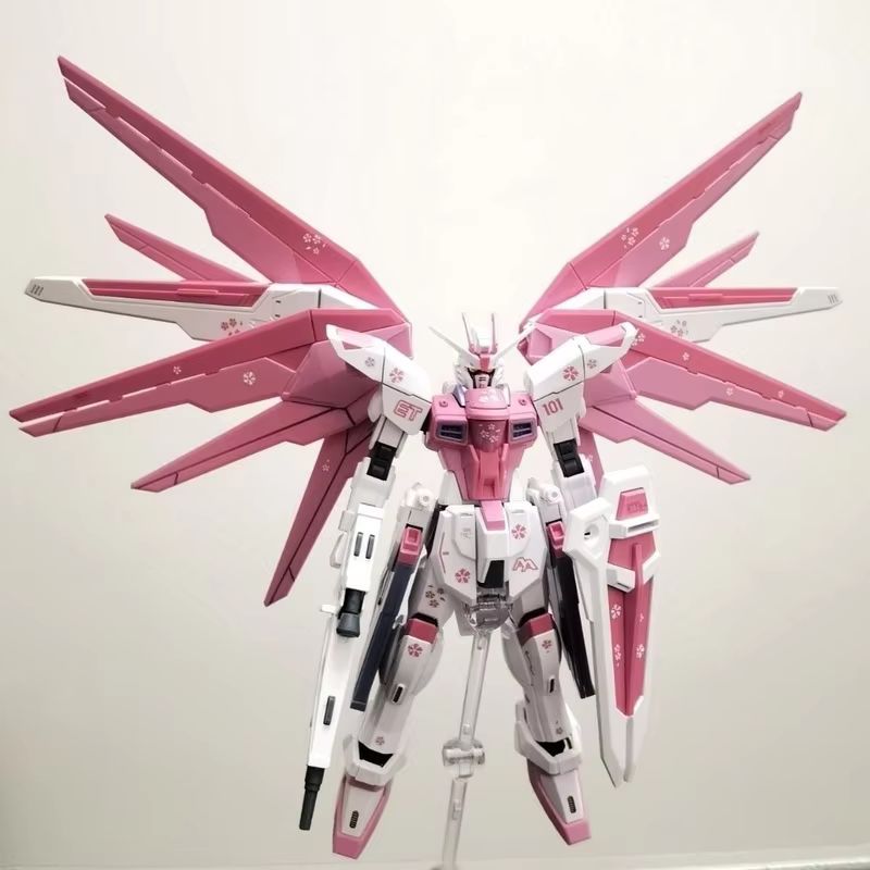 JMS HG 1/144 ZY-06 Freedom Ass - Bandai Gundam Hg 评论和价格