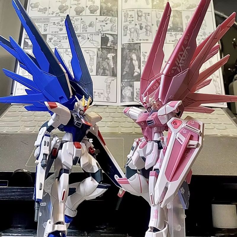 JMS HG 1/144 ZY-06 Freedom Ass - Bandai Gundam Hg 评论和价格