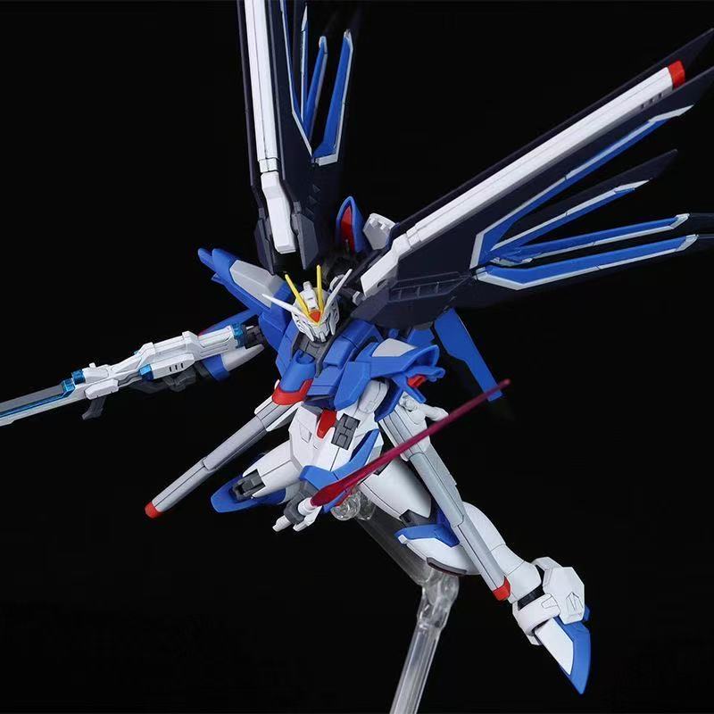 HG STTS-909 Rising Freedom Gun - Bandai Gundam Hg 评论和价格